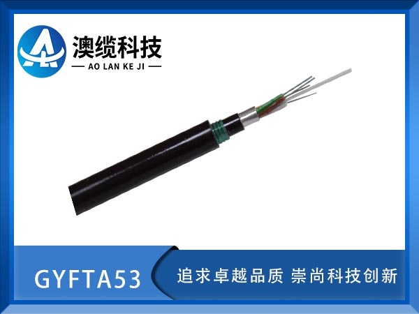 GYFTA53|GYFTA53|GYFTA53|r(ji)