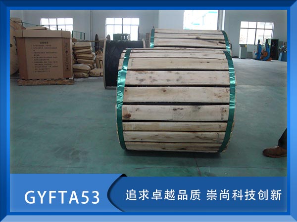 GYFTA53|GYFTA53|GYFTA53|r