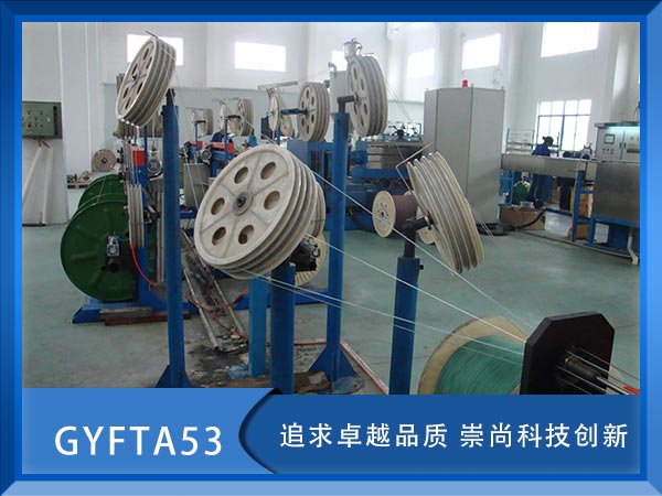 GYFTA53|GYFTA53|GYFTA53|r