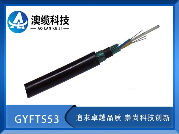 GYFTS53|GYFTS53|GYFS53|r(ji)