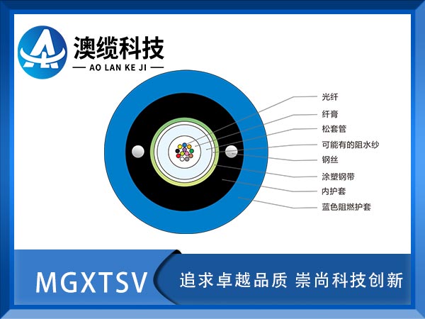 MGXTSV|MGXTSVVù|MGXTSV|r(ji)